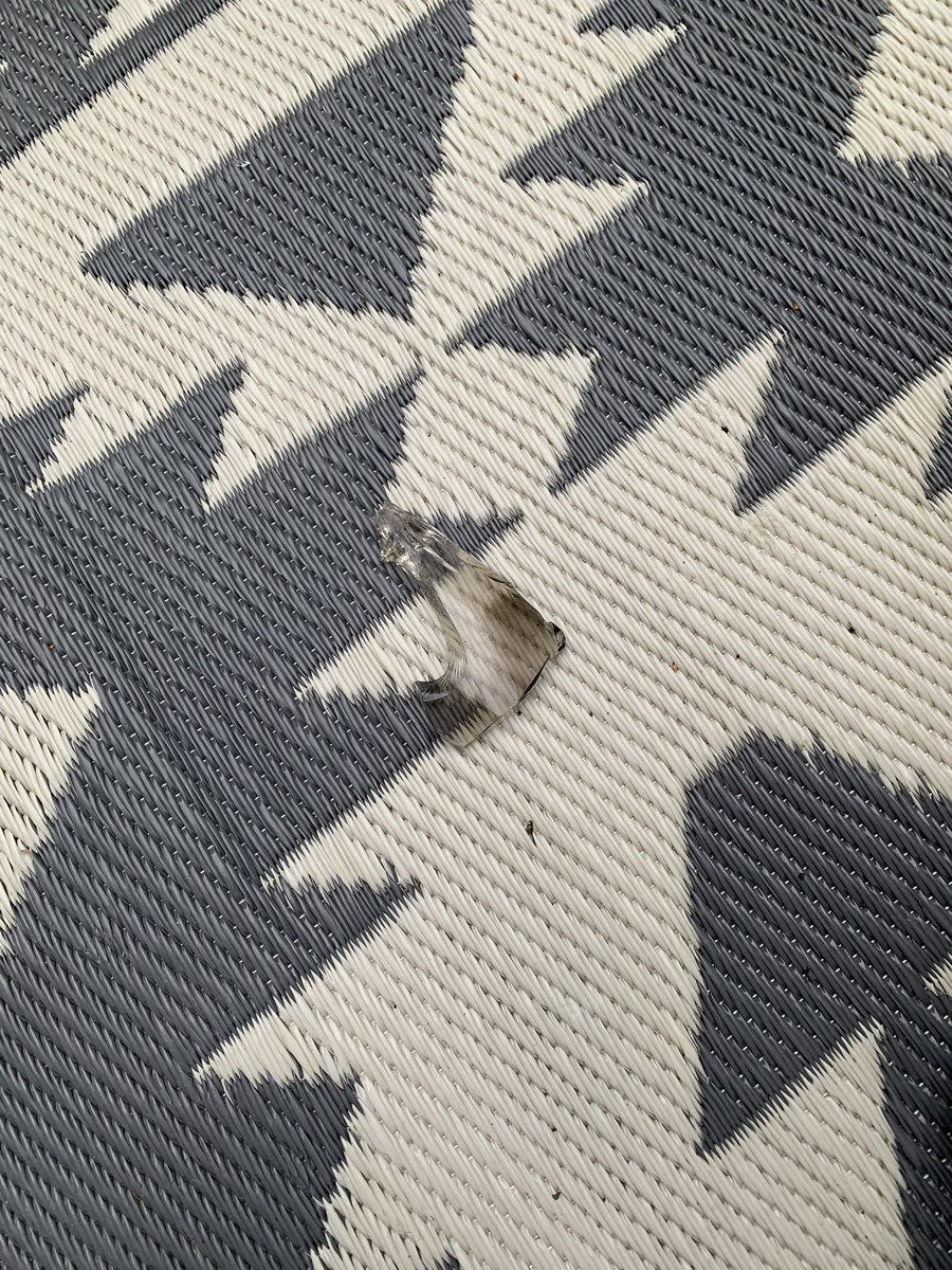 Should this happen to my candle <a href="/JoMaloneLondon/">Jo Malone London</a> ?? Exploded and glass everywhere?