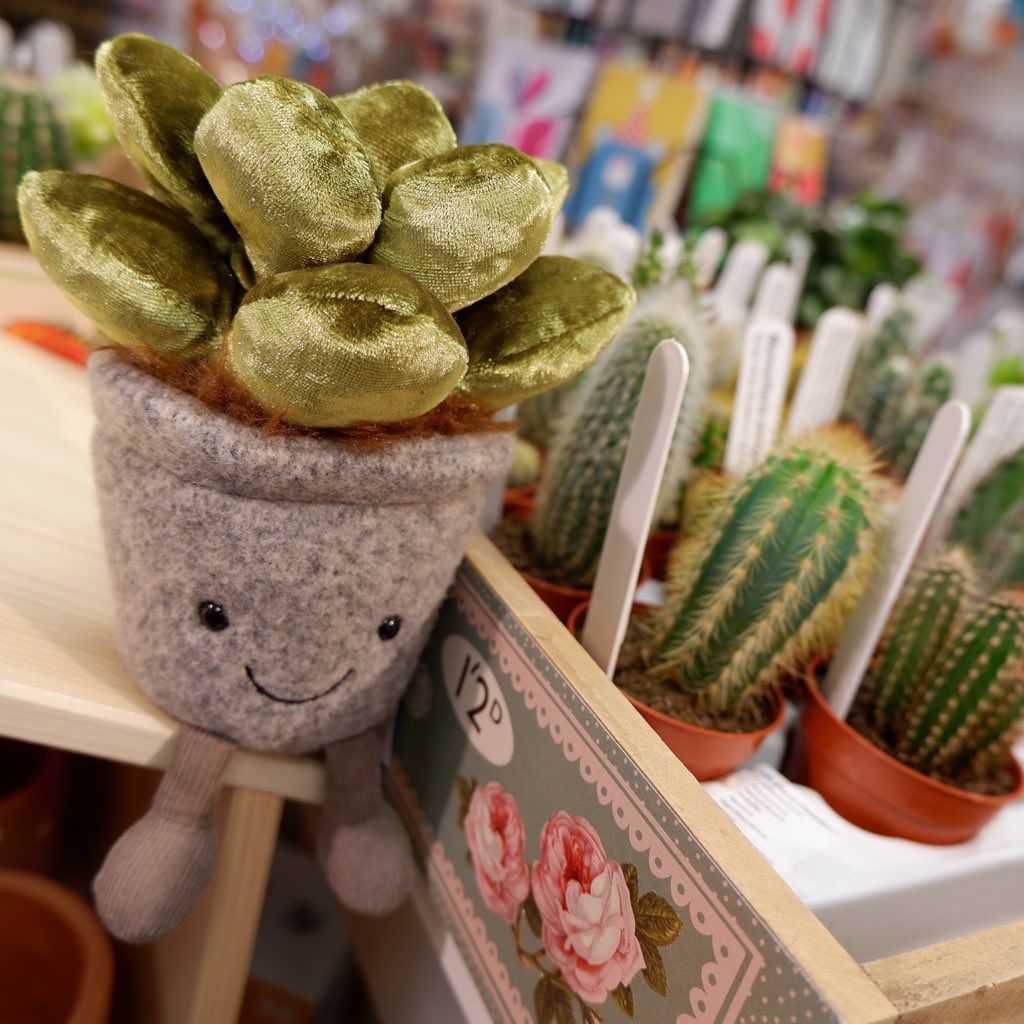 Doodlebug tweet media