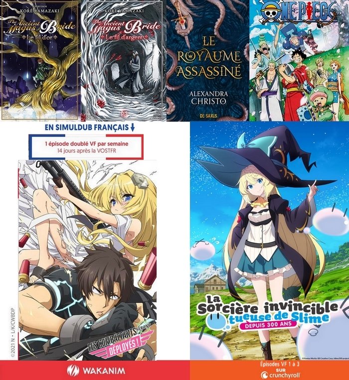 Emmanuel Pettini Chronocyte Twitter