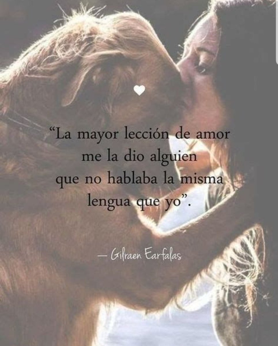 #animaLOVERS tweet media