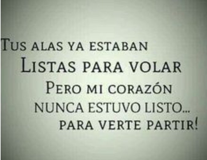 #animaLOVERS tweet media