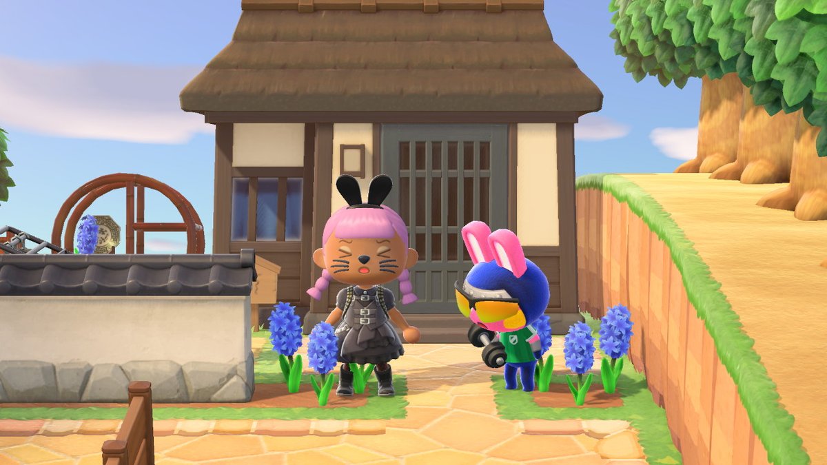 jesssskywalker's tweet photo. #AnimalCrossing #ACNH #NintendoSwitch https://t.co/TKxcXVMdor