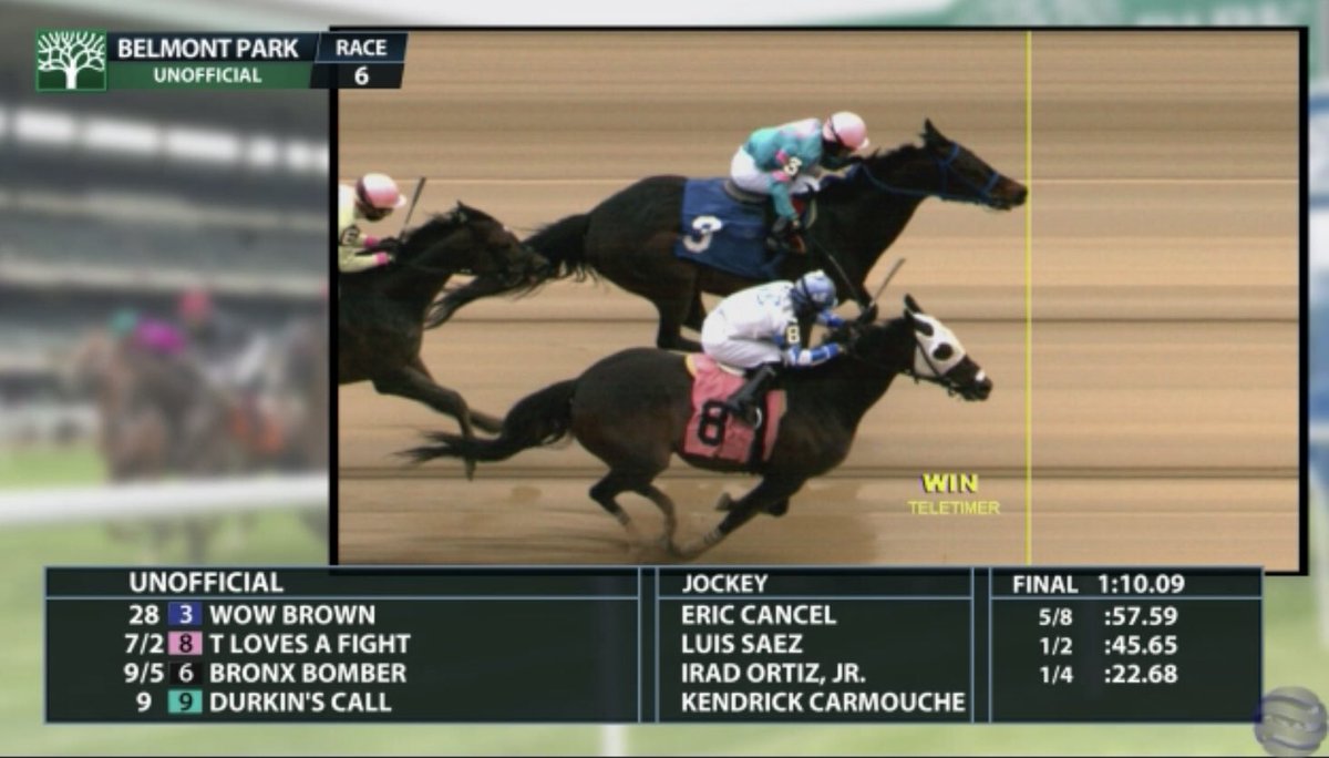 nodaracing's tweet photo. What a strong close for our boy T Loves a Fight! Great ride by @luissaezpty just need 6f and 50ft to get the last few steps!! Our boy always shows up!! FYI there are few more fighters coming in the pipeline honoring our boy T #bestityettocome #TLovesAFight #nyra https://t.co/7mhfWSCVvB