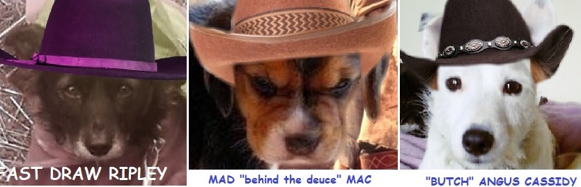 Destroyer_Angus's tweet photo. Had a gunfite wif dem 'orrible zombs up in dem dere hills #ZSHQ menny destroyed! His Billyship @BraveWinston is safe, fur tonite enyway. Rest of da zombs fled. Bak owt tomorrow fur anuvva search.
#ZSWesternMonth  @ZombieSquadHQ  @sweetAbby20 @badpiratemonkey @Rosie_fluffybun https://t.co/kFFUIu9UdE