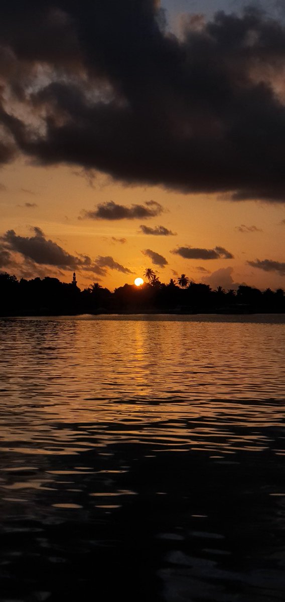 Rimerx's tweet image. 