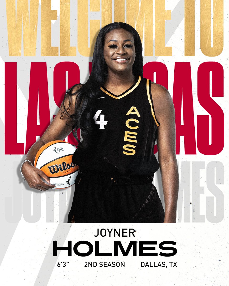 Las Vegas Aces tweet media