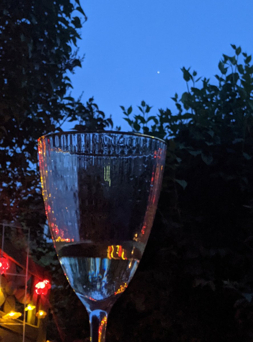 Dämmerung. Sektglas vor Bäumen, dazwischen eine Lücke, in der man den Himmel sieht. Ein heller Punkt am Himmel (ISS). Links vom gjas ist ein Zaun mit bunter Lichterkette, die sich auch im Glas spiegelt