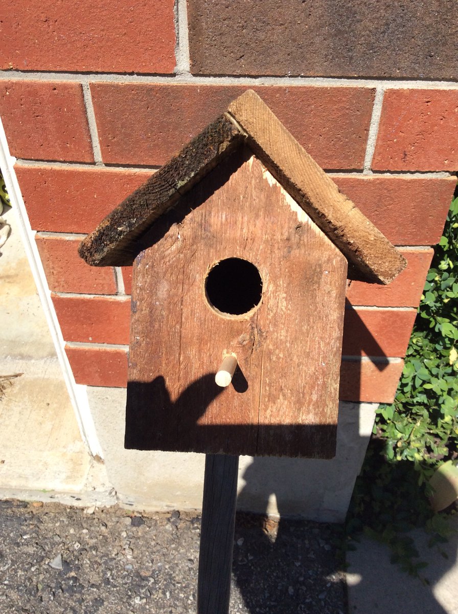 Jacob98423945's tweet photo. I am building bird houses for my scout trip in 2 years. Let me know if you are interested. They are for sale for $ 20 all funds will help me to go to the jamboree in Holland. https://t.co/skffkyB8BA