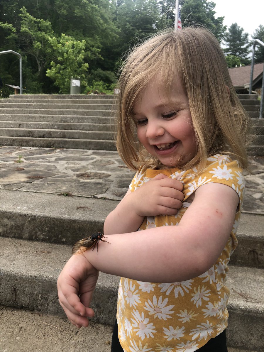 Leannda Cavalier (@leanndacavalier) on Twitter photo The nightmare Disney princess genes are strong The nightmare Disney princess genes are strong