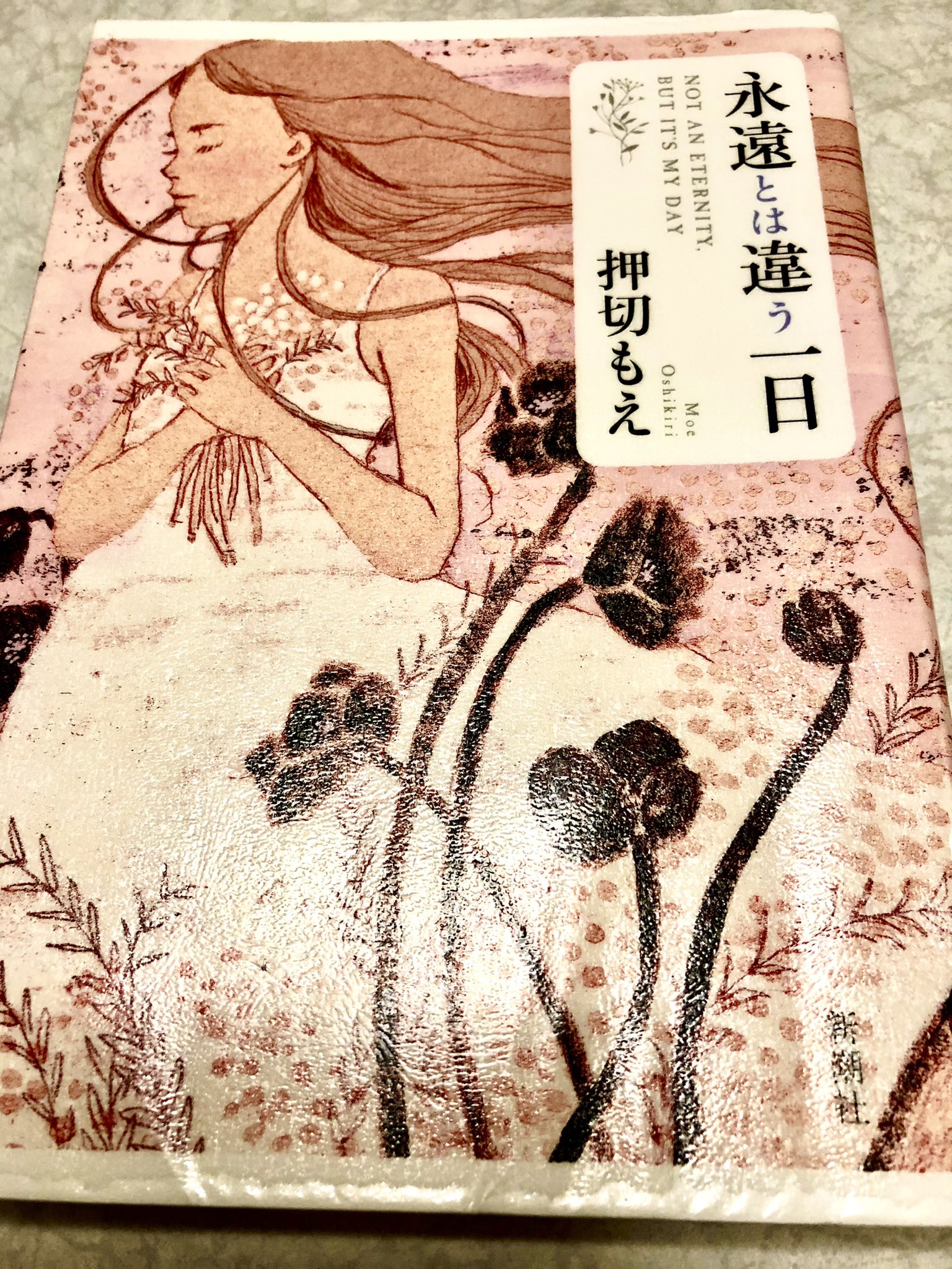 しかちょう 読書 押切もえ 永遠とは違う一日 わがままモデルのマネージャー 師匠の縁に悩むスタイリスト スランプの画家 小学校から仲良し３人組 7boysは元は2つの別グループ アイドル失格になった高校生 短編6つがささやかながら明るい未来