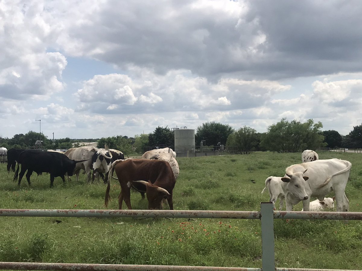 It’s good to live in Texas