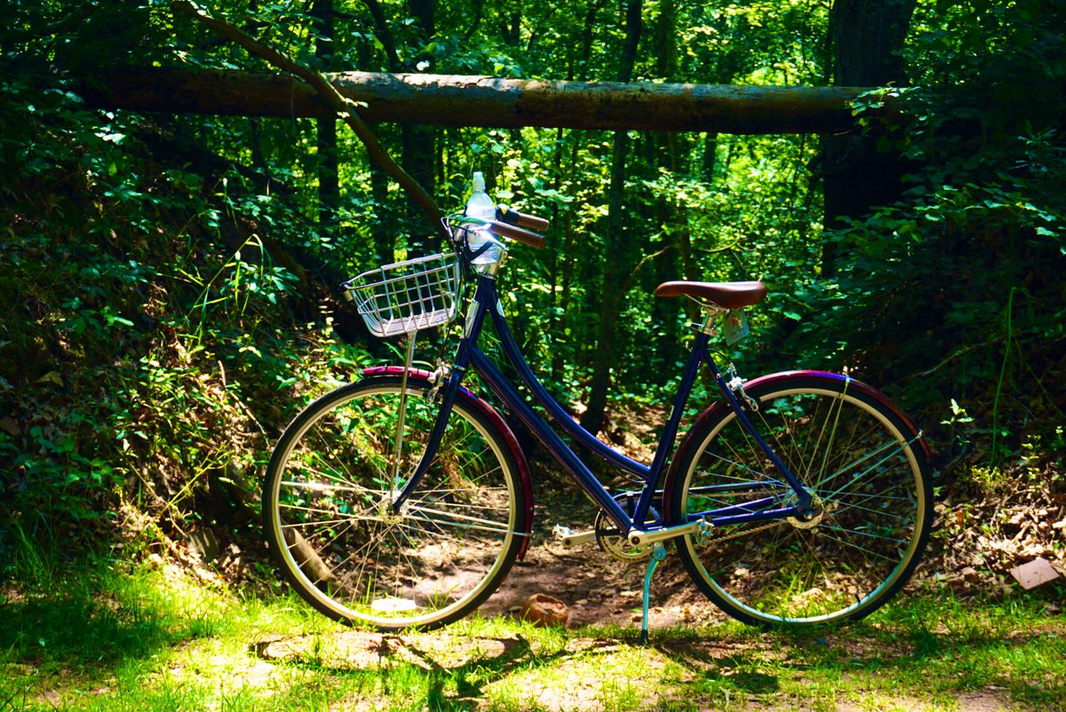 jesusfuentes80's tweet photo. Which demonstrate that we, Americans, can have World-class bicycle infrastructure if we decide to switch to a more sustainable transport system. There’s no reason why an awesome trail like this shouldn’t be in every city! #tourismeàvélo #cycletourism #bikeinnbikeout [3/3] 🚲... https://t.co/1nlZp5DaJD
