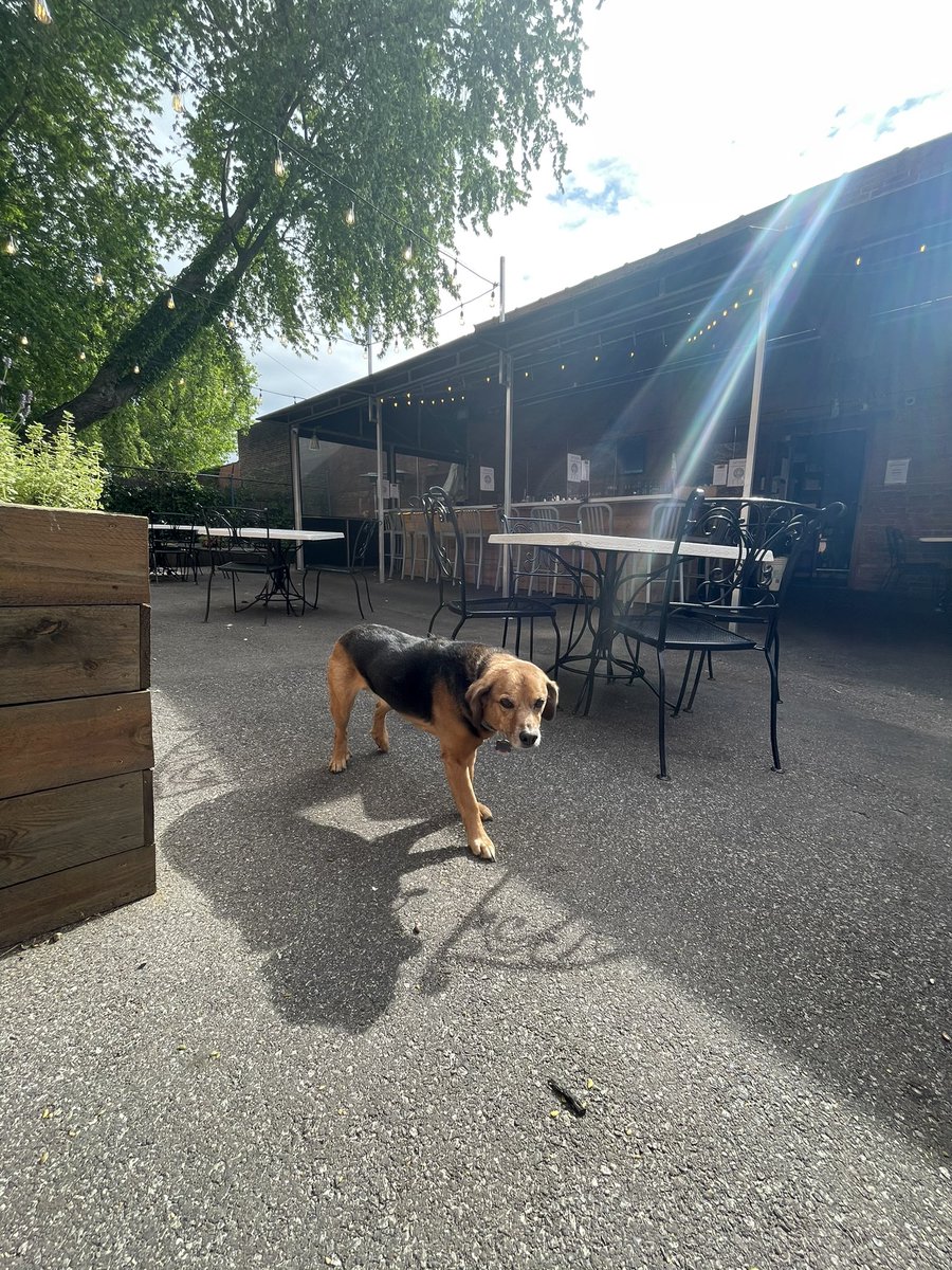 Astoria Cafe Market tweet media