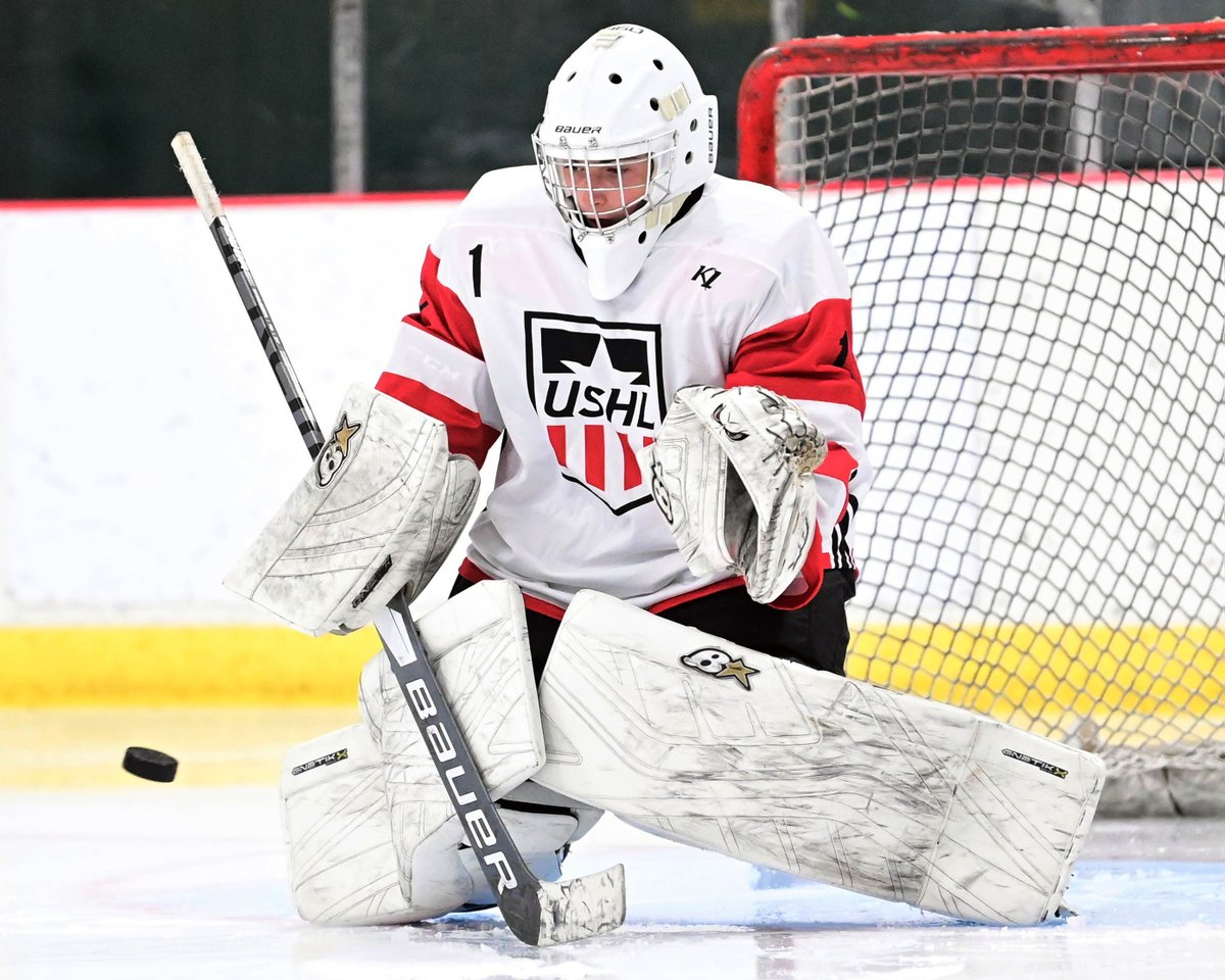 DanHickling's tweet photo. New pics of #TeamLarkin 06s from @USHL Phase I Combine now up on their @eliteprospects player pages ... Also coming to select @_Neutral_Zone pages ... Check 'em out! #WhosNext @mhick1953 @USHL_Player_Dev https://t.co/p7qCmeVoXC