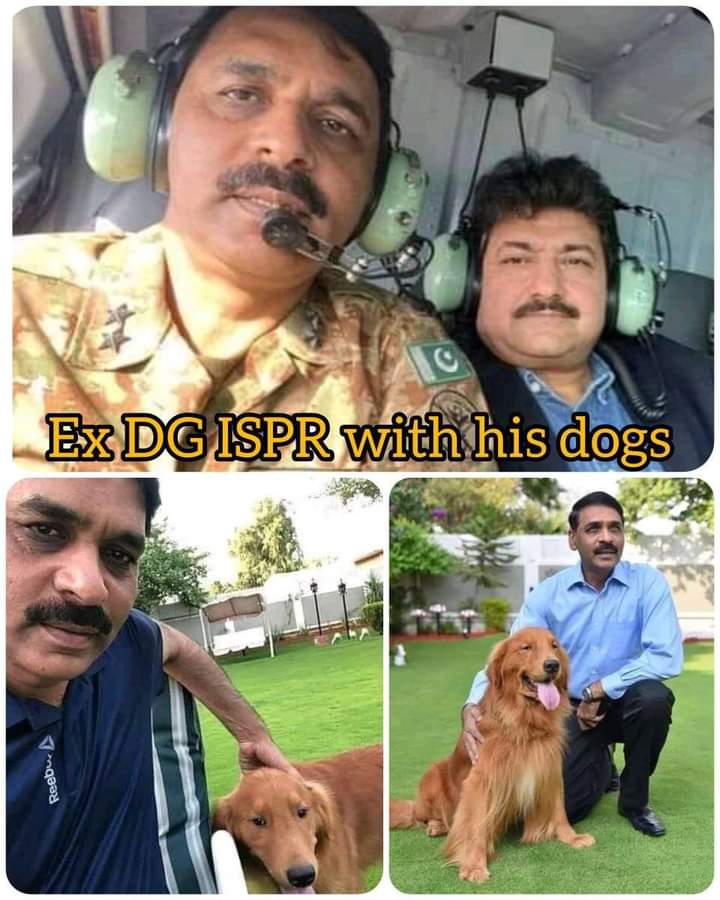 FaheemEsha's tweet photo. Hamid mir bhi khuta os ka supports to os sa bhi zayda nasli khuty 😂😂😂😂😂😂😂

Pak army zindbad 🥰
Imran khan zindbad 🥰
#ImranKhanPTI
#PakArmyZindabad
#ISIZindabad
#cancelboardexam
#waqarzaka
#generalrani
#ArrestHamidMir
#عمران_دا_یار_زلفی_دوڑ_گیا
#CancelExamsSaveLives https://t.co/JAQnyWQcdI