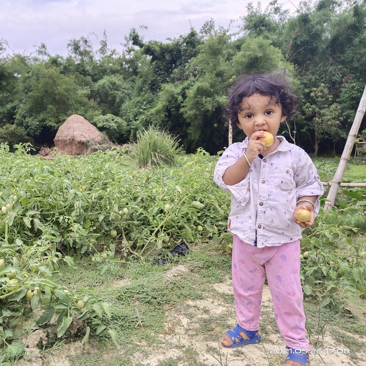 aadvikms's tweet photo. #NaturePhotography #Cutebaby #aadvikms #Tomato #ManCity #ChampionsLeague #PMCares #블랙핑크 #Chelsea #UefaChampionsLeague #photographer https://t.co/9daTCGkR8P
