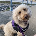 Photo by 🌟Paula Garstang (@PaulaGarst)