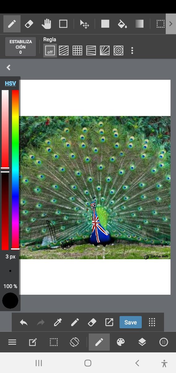 TakitosO's tweet photo. Derechos a quien le tomo la foto al pavo real... yo solo me encargue de aserle un pequeño diseño ^^
#contryhumans
#uk
#contryhumansuk https://t.co/TCPund9Xp1