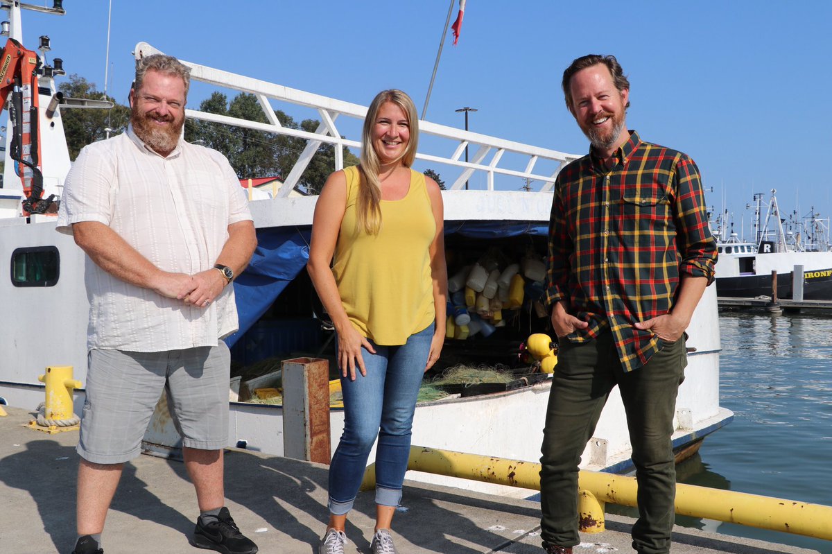 tipoftheiceberg (@tipoftheiceber8) | Twitter