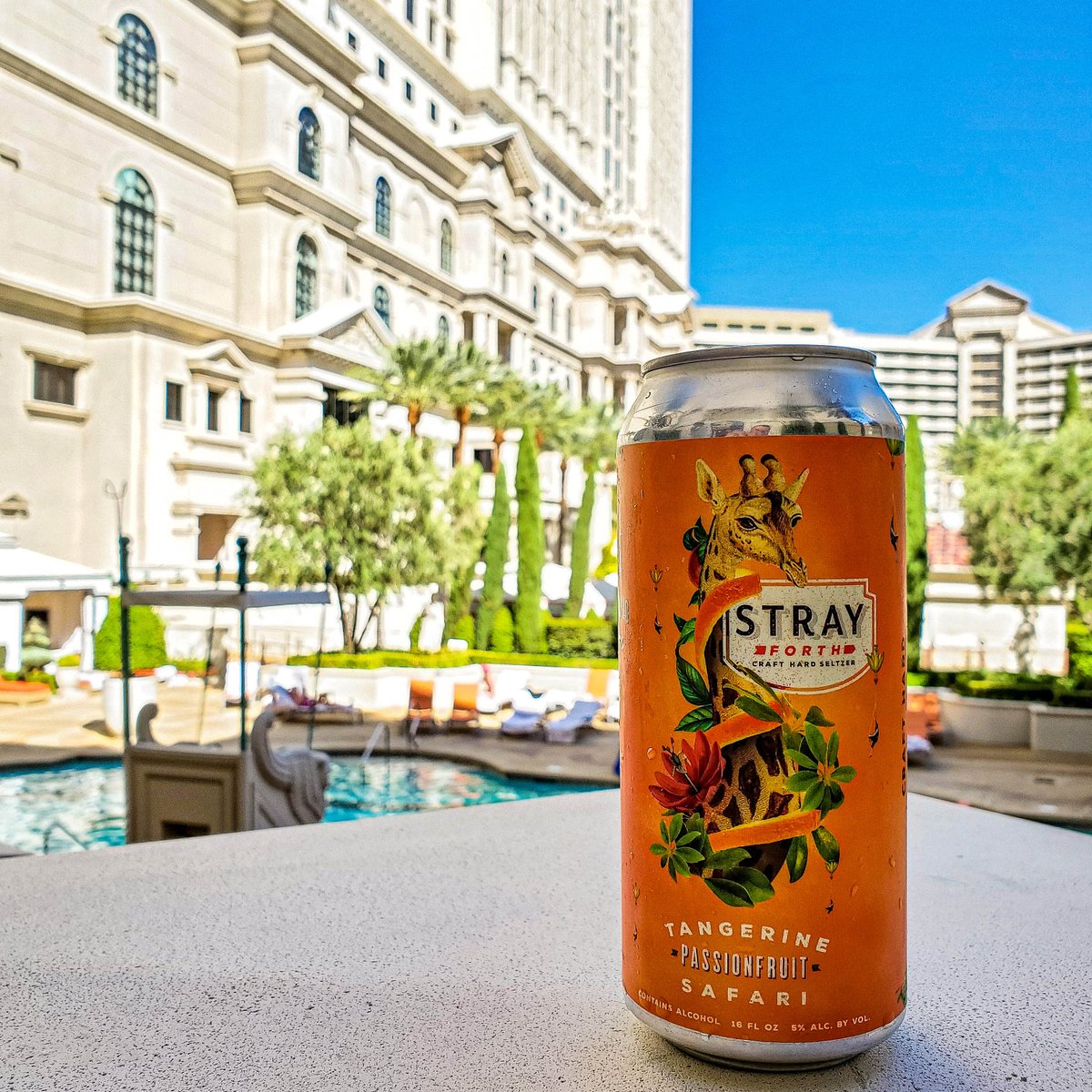 StrayForth's tweet photo. Where do you #stray on your sunny days? 🌤️ https://t.co/4IUjYiUHas