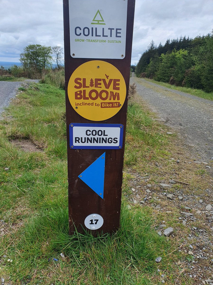 gpodavid's tweet photo. Great views from kinnitty MTB trails. #kinnitty #coilte https://t.co/CJ8zSw81pk