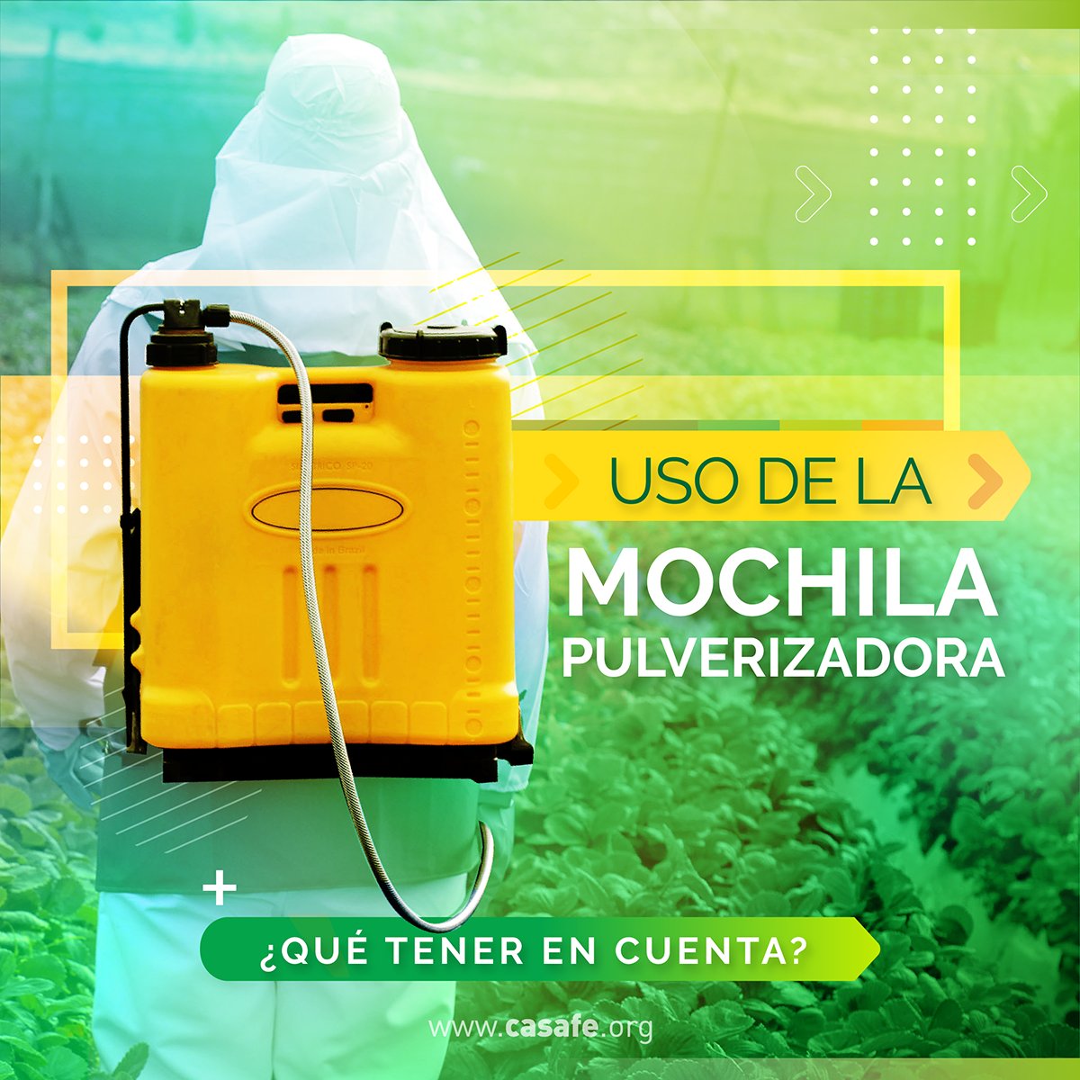 patucomendez's tweet photo. Abro #Hilo 
📌Mochila pulverizadora #Calibracion
Cuando las #Aplicaciones se realizan con este tipo de #equipos, como lo es en producciones hortícolas, es importante controlar que el #Equipo se encuentre #Calibrado y que la actividad sea realizada por una persona capacitada. https://t.co/ZuwRm4gDng