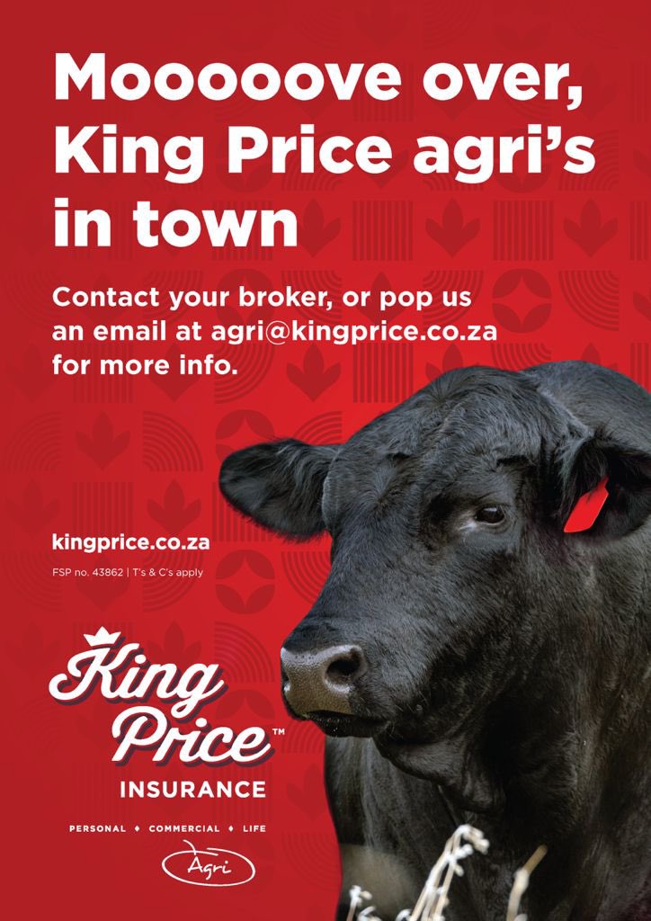 KobusStapel's tweet photo. King Price Insurance support Brangus SA.  For more information on your livestock insurance click 👉🏻 https://t.co/Ekh74O5kJV https://t.co/hsiSUEd6GI