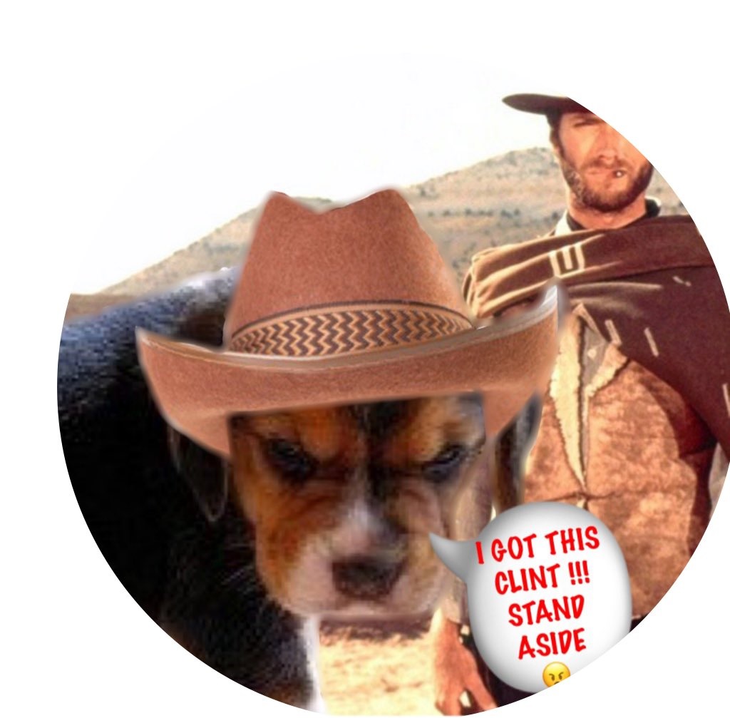 Destroyer_Angus's tweet photo. mad_mac: *sniffing* I SMELL CAAAAAAAAAAAKE!
outta my way pawdnez! *faceplants cake* nomnomnom...oooh i needed dat! 
#ZSWesternMonth #ZSHQ #ZSClubTropicana https://t.co/Pst7RA7ANV