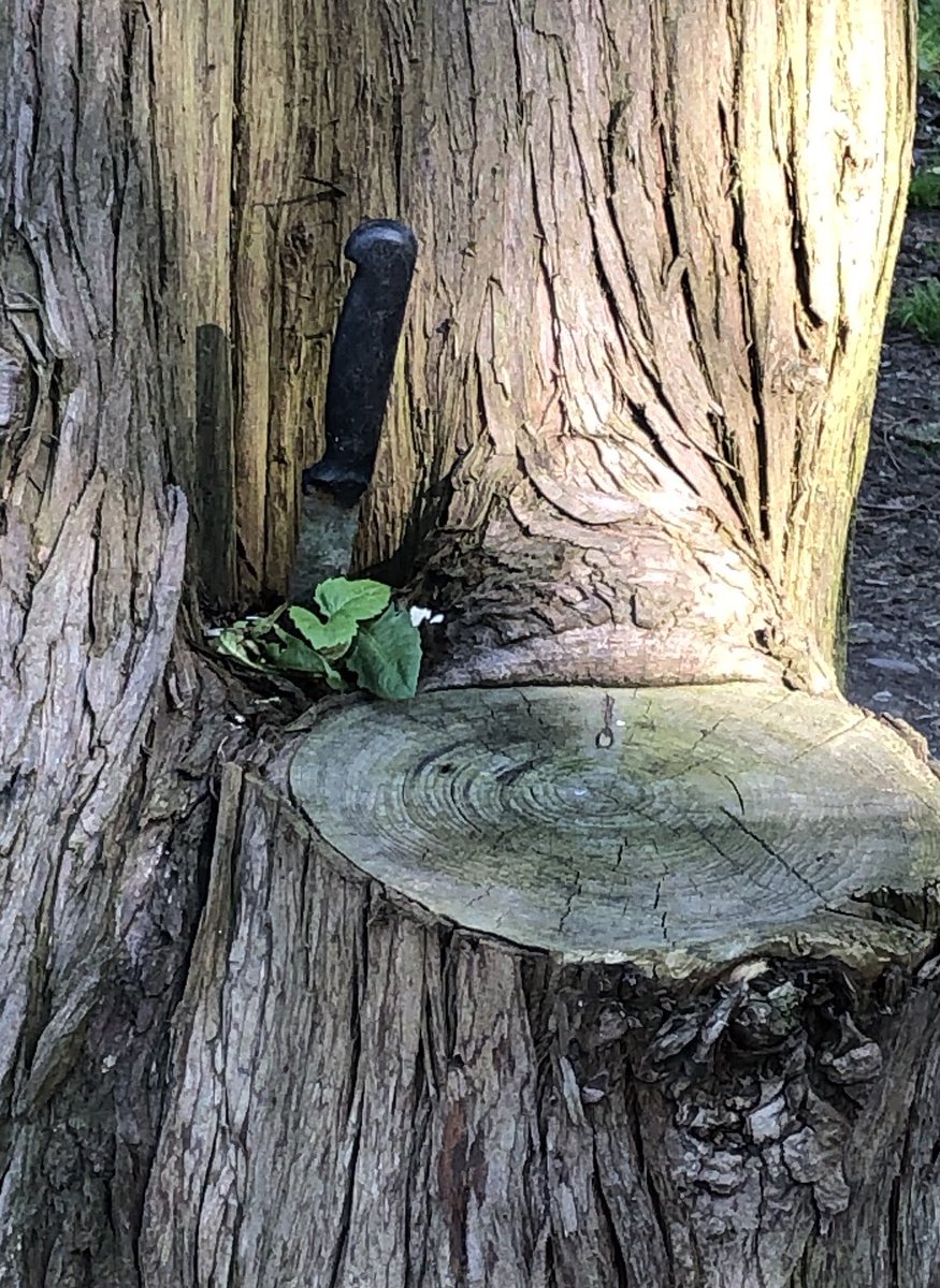 Pure Thursday Murder Club - ramble around the grounds of in laws retirement village produced this ... lockdown’s been hard that’s for sure <a href="/richardosman/">Richard Osman</a> <a href="/EloiseHendy/">Eloise Hendy</a> <a href="/DavidjHendy/">David Hendy</a> <a href="/HendyGardenLove/">Jenny Hendy</a>