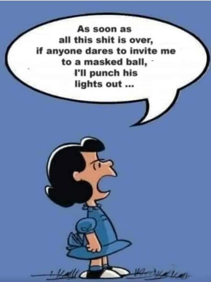 Duke_Silverback's tweet image. 