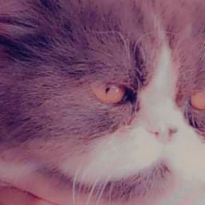 its_Shaaad's tweet photo. #NewProfilePic https://t.co/sfmg0lFw3u
