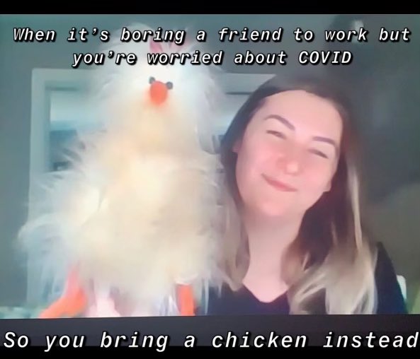 MacHarvey12's tweet photo. Was playing a game in zoom dance class where everyone does show and tell with a weird item in their house and as an example I grabbed this stuffed chicken

Anyway one of my students screened grabbed it and has been relentlessly making memes of me HELP https://t.co/OMEhQiSZmK