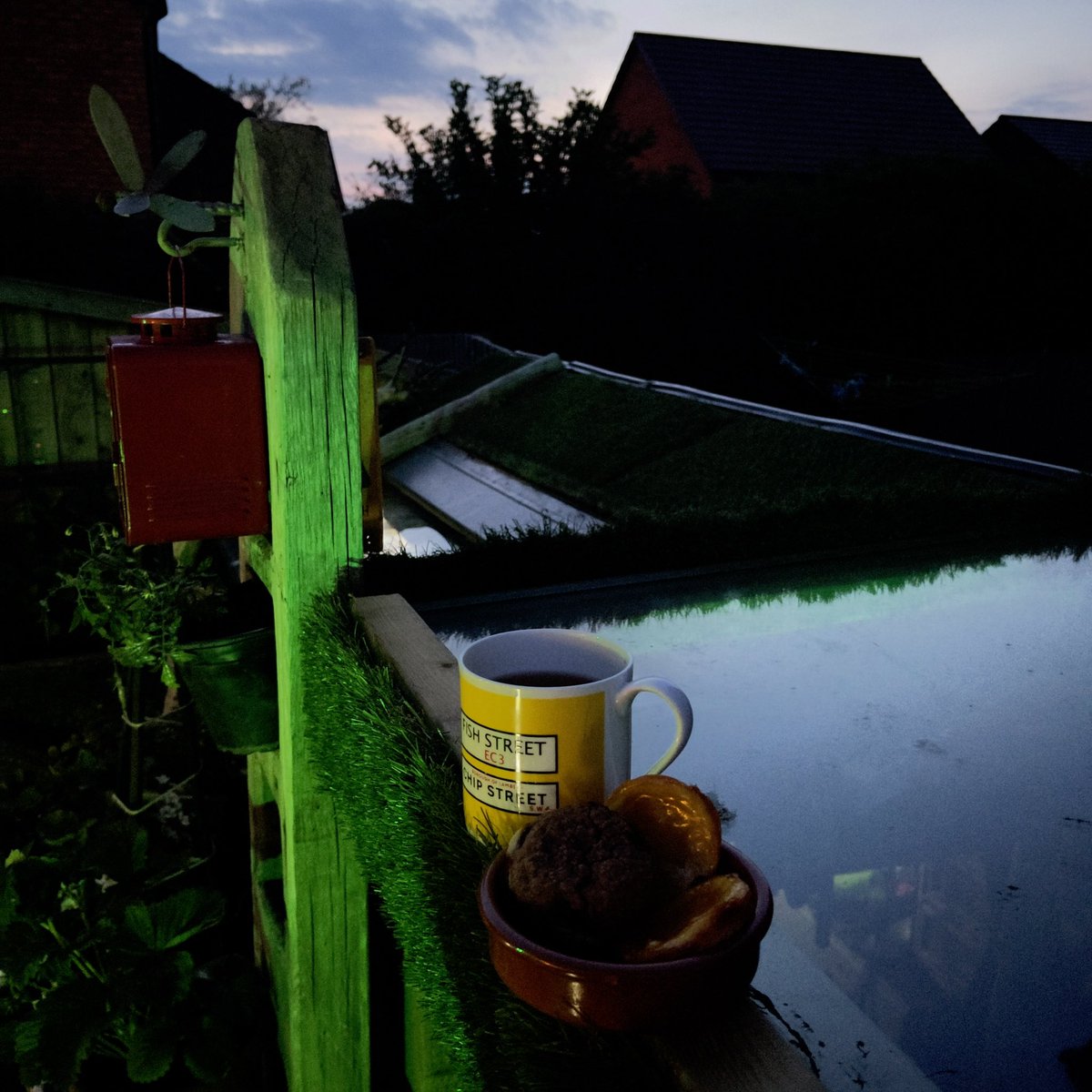 knowitpaul's tweet photo. Brew, homemade cake, watching for bats 🤓 #pipistrelle #daubentonsbat #brownbat #horseshoebat #longearedbat #nature #actuallyautistic #love #peace #kami ❤️ https://t.co/Mpb2dCi3Ij