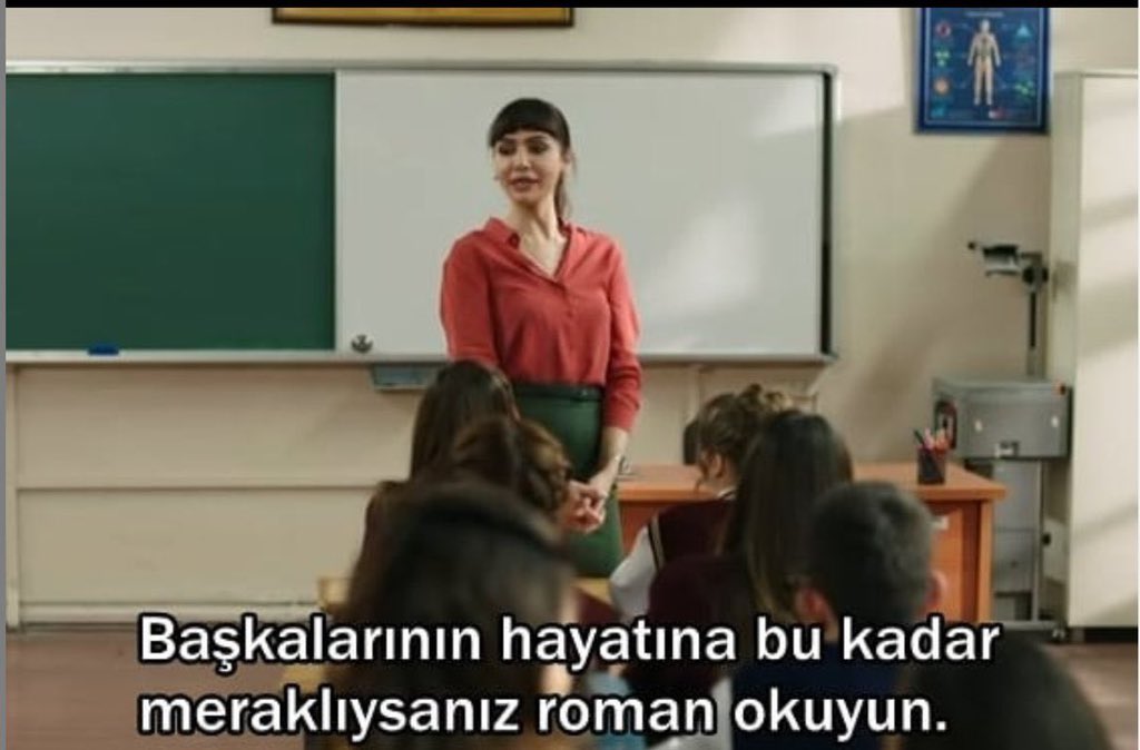 ''Başkalarının hayatına bu kadar meraklıysanız roman okuyun..''