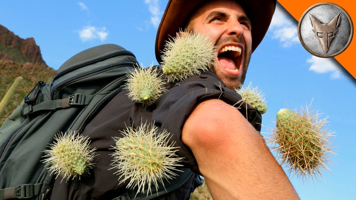 CamelotStocks's tweet photo. May the odds be ever in your favor. 🌵🌵

#Merlin #MerlinStocks #CamelotStocks #Cactus https://t.co/TKMpRCYFYx