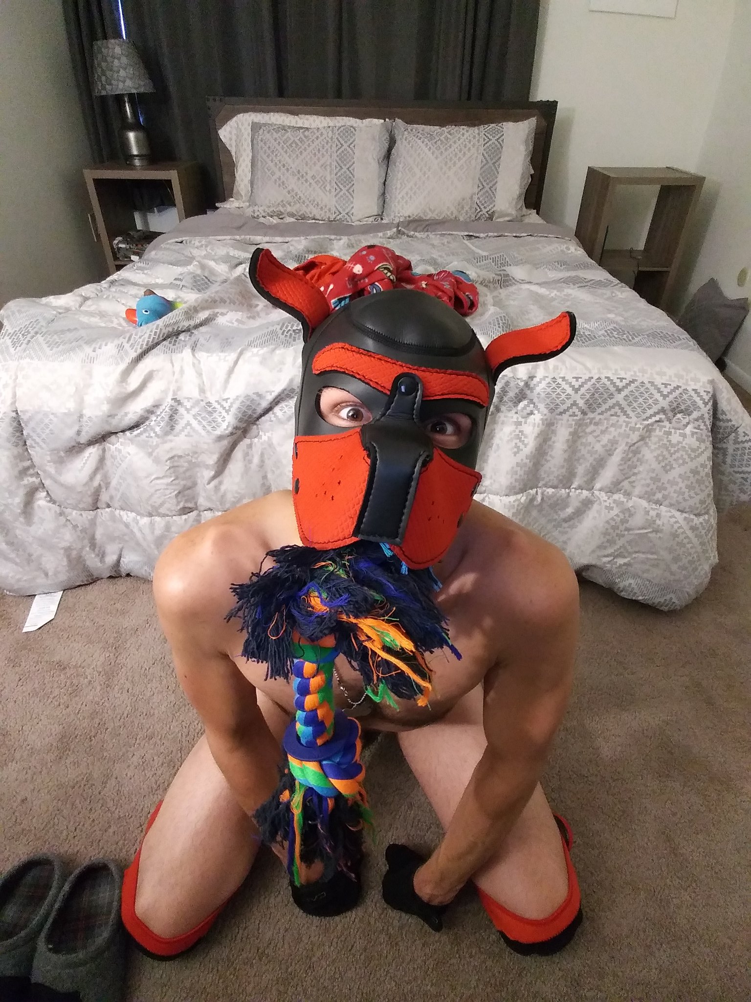 1 pic. Wanna play? 
#gaypup #puppyplay https://t.co/YziRcXQV25