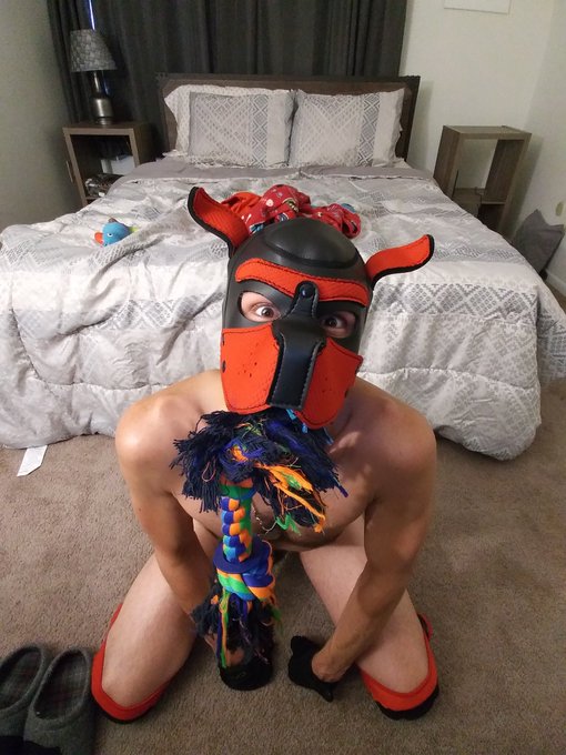 1 pic. Wanna play? 
#gaypup #puppyplay https://t.co/YziRcXQV25