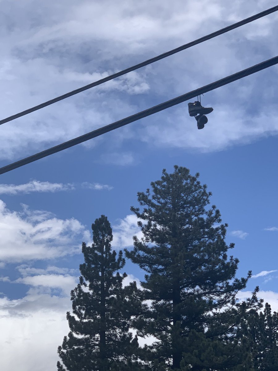 GreenMammothOG's tweet photo. Thank you to one of our regulars for helping market our location to the old school hooligans in their native language. Good looking out.

#greenmammoth #greenmammothog #mammothlakes #mammothmountain https://t.co/Am5ANOficZ