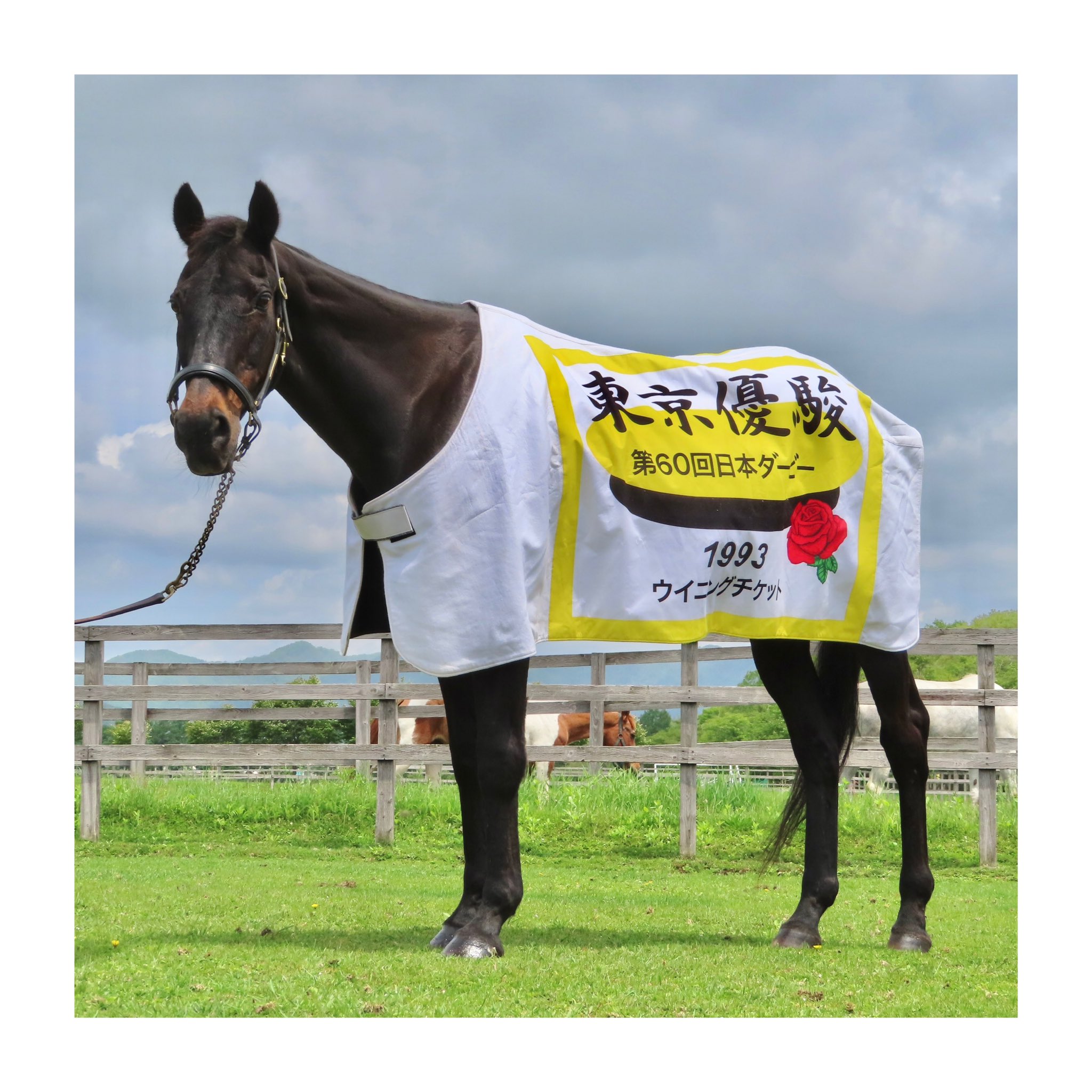 □ウイニングチケット 日本ダービー 現地的中単勝馬券 ウマ娘