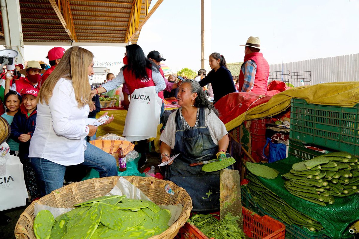 AliciaRobles_Ac's tweet photo. El nopal es un símbolo que representa a Milpa Alta, es la base de nuestra economía local. Hoy visitamos el centro de acopio donde está la gente trabajadora que lleva a gran parte del país el nopal más dulce y tierno de México.
#SoyAliciaRoblesAcevedo futura #AlcaldesaDeMilpaAlta https://t.co/ZP6giTunGa