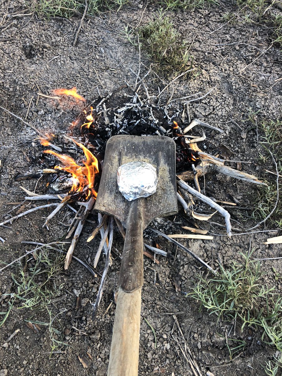 Sam Heagney tweet media