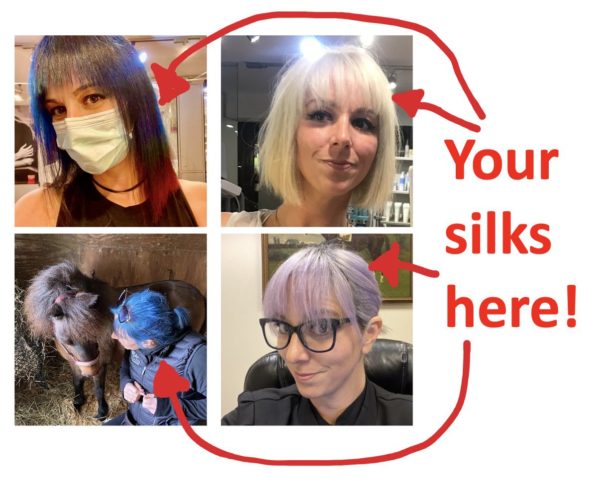 It's that time again! Racehorse owners! Want to donate to a great cause? I'll dye my hair your silks colors if you donate $2,500 to <a href="/TheRealRiderCup/">The Real Rider Cup</a> benefitting 
<a href="/RRP_TBMakeover/">Retired Racehorse Project</a>, <a href="/NewVocations/">New Vocations</a>, &amp; the #FairHillThoroughbredShow. First come, first served!  therealridercup.com/make-a-donatio…