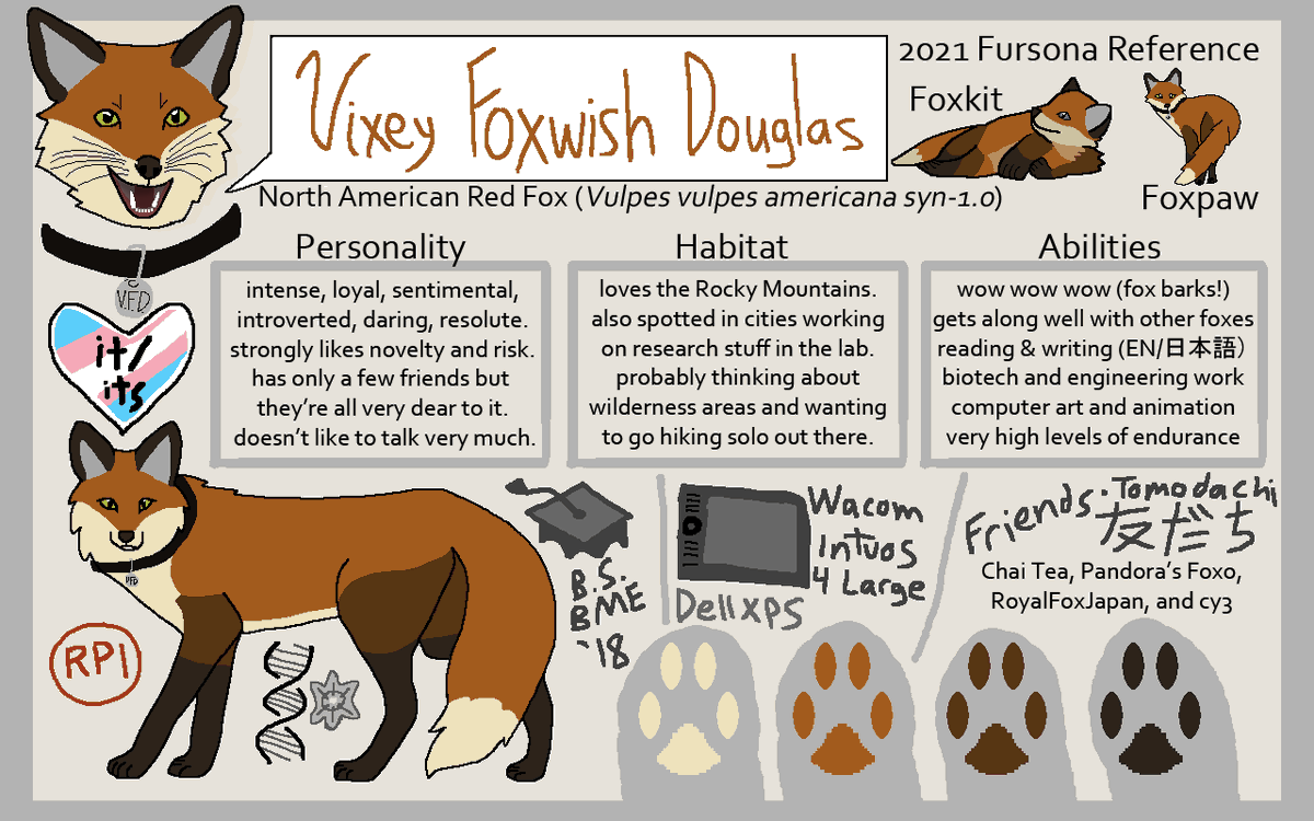 vixey foxwish 🏳️‍⚧️ on X: it looks like it has a new #referencesheet to  show off! thanks to my good friends @chaiteadraws @pandoras_foxo  @Royalfox_japan for their support & being so very understanding #