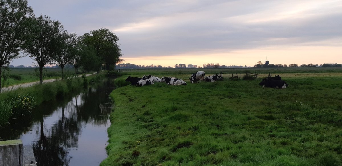nicvdweide's tweet photo. Met zonsopkomst aan de Tiendweg. Grote brand op industrieterrein Lekkerkerk. https://t.co/FsAXagU9EM