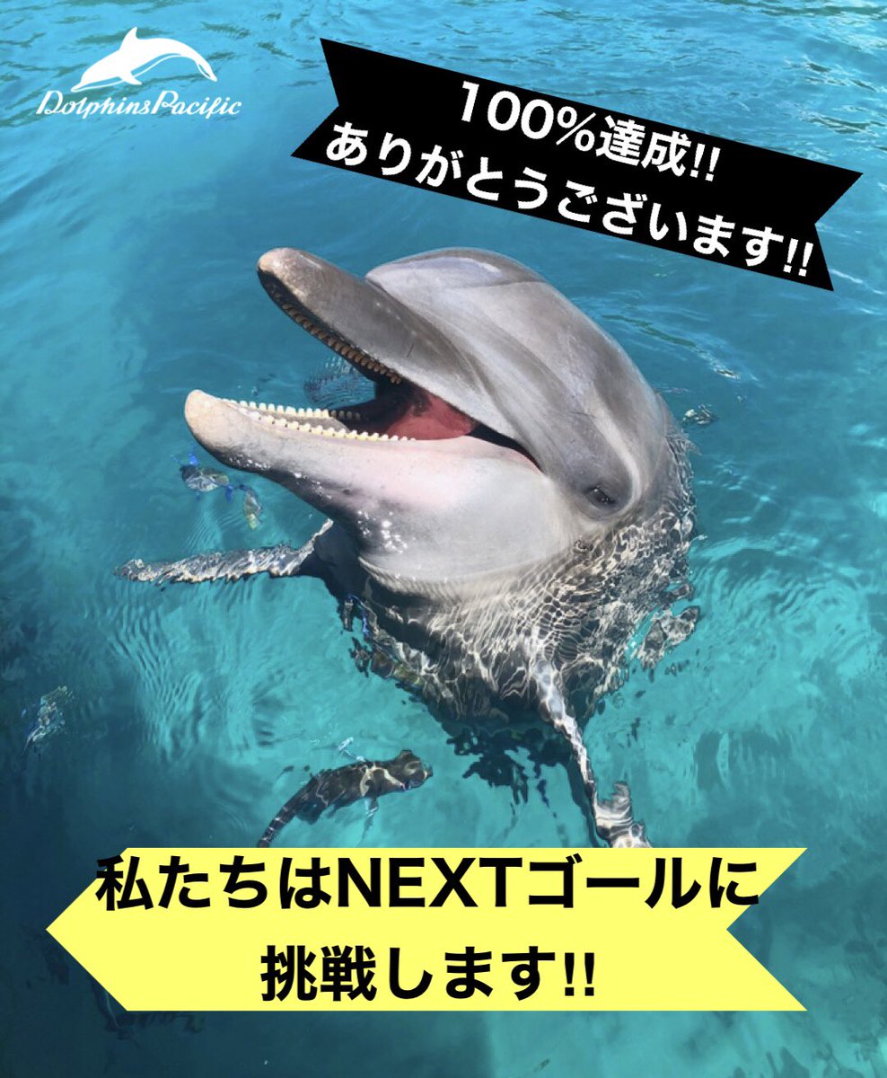 呟きイルカ パラオ Dolphinspacific Twitter 呟きイルカ パラオ Dolphinspacific Twitter