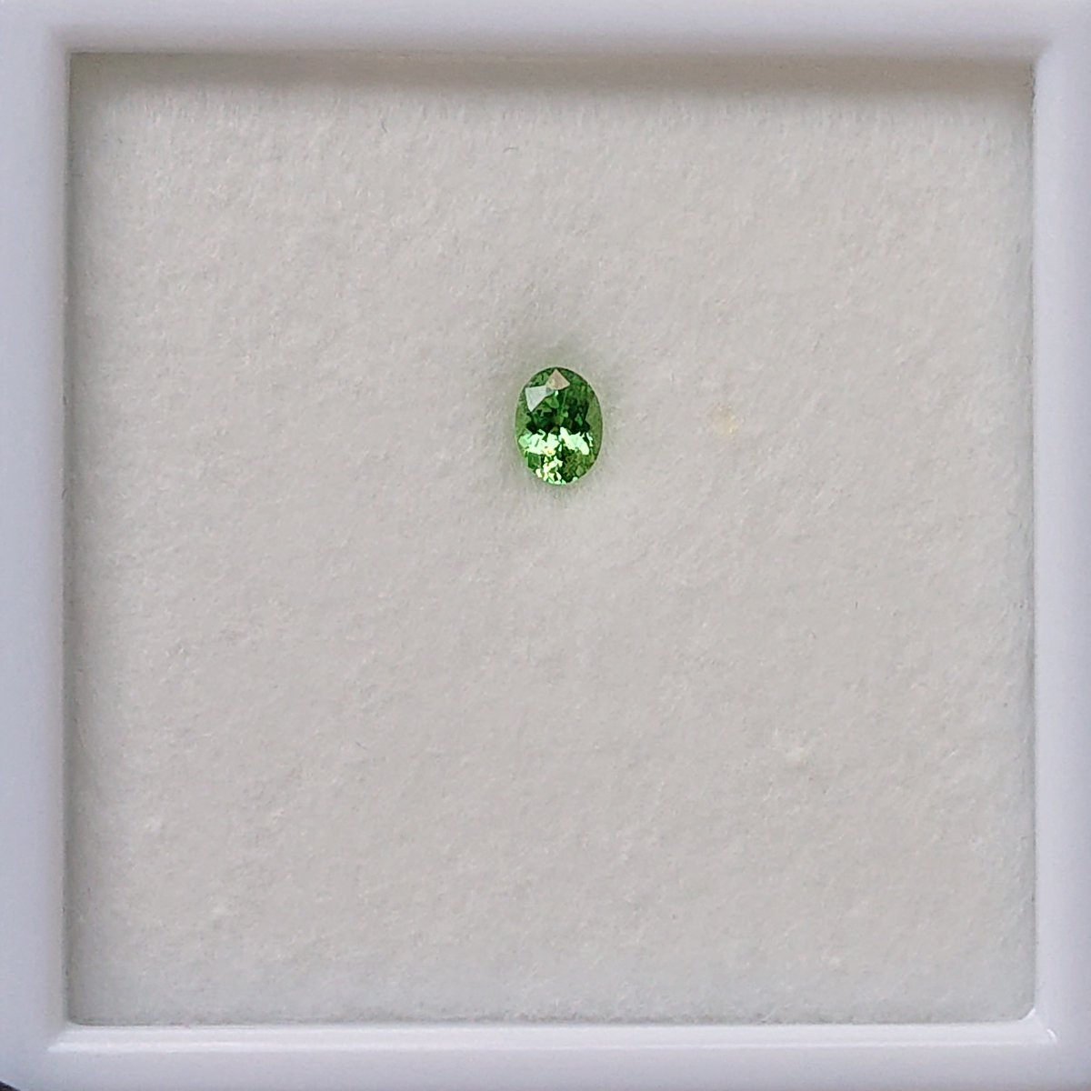 Star 38 公式 8月末の名古屋まで催事はお休み Zzzz 本日の一石 グリーンガーネット ツァボライト Green Garnet Tsavorite ケニア産 0 52ct 約5 5 4 1 2 9mm モース硬度 7 7 5 1月の誕生石 グロッシュラーの緑系がツァボライト オレンジ色