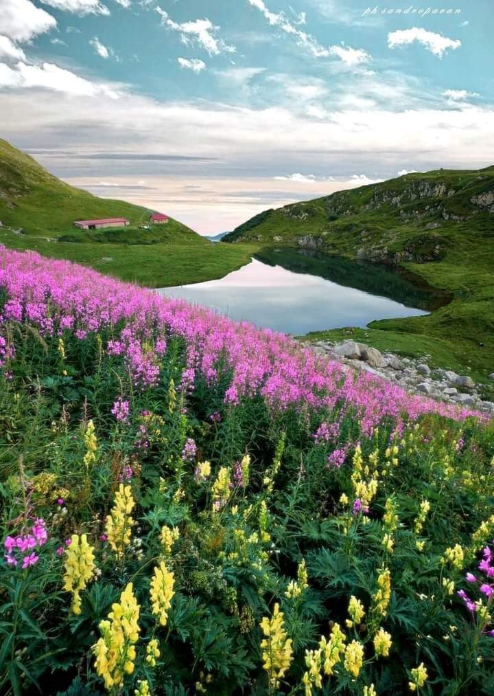 OnlyNatureplace's tweet photo. Good Day Friends ❤ https://t.co/2jA8u7h8Om