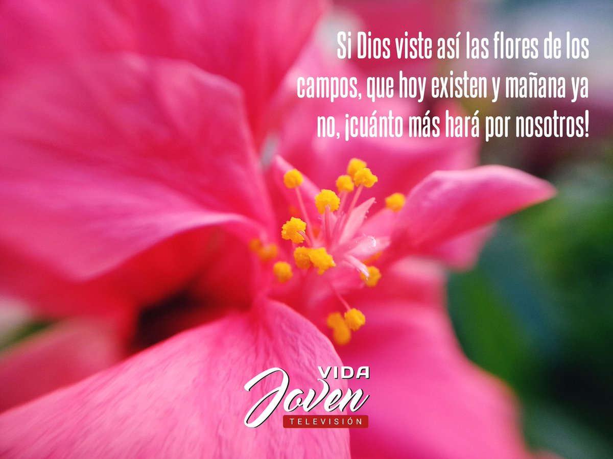 VidaJovenTele's tweet photo. https://t.co/85CLZXtT1D