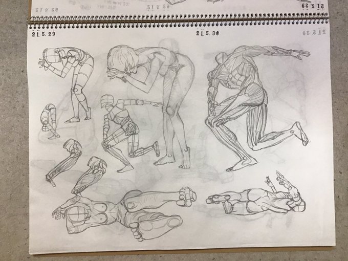 今日の #キムラッキ 