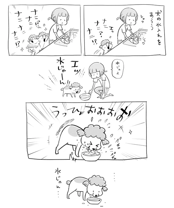 うすうす感づいてたがさてはアホだなきみ 
